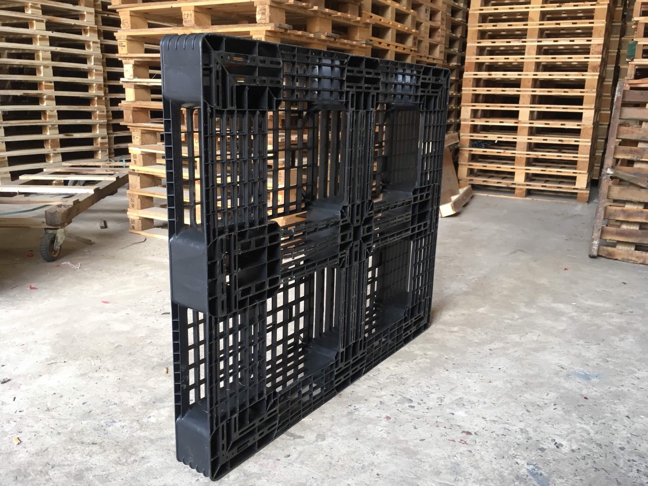 Mẫu 01 Pallet nhựa 1200x1000x120mm- đáy đứng