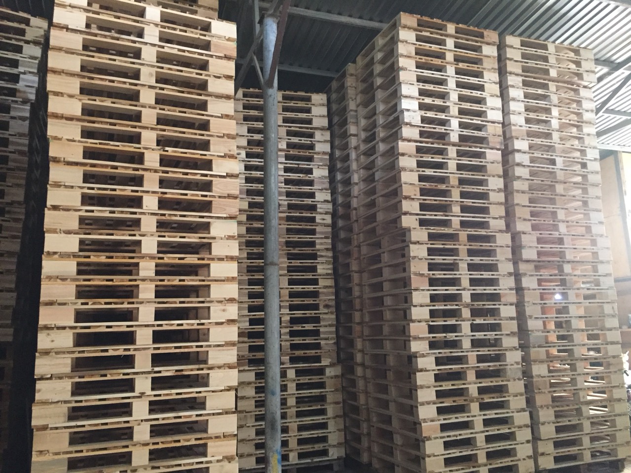 Mẫu 07 Pallet gỗ xk Costco