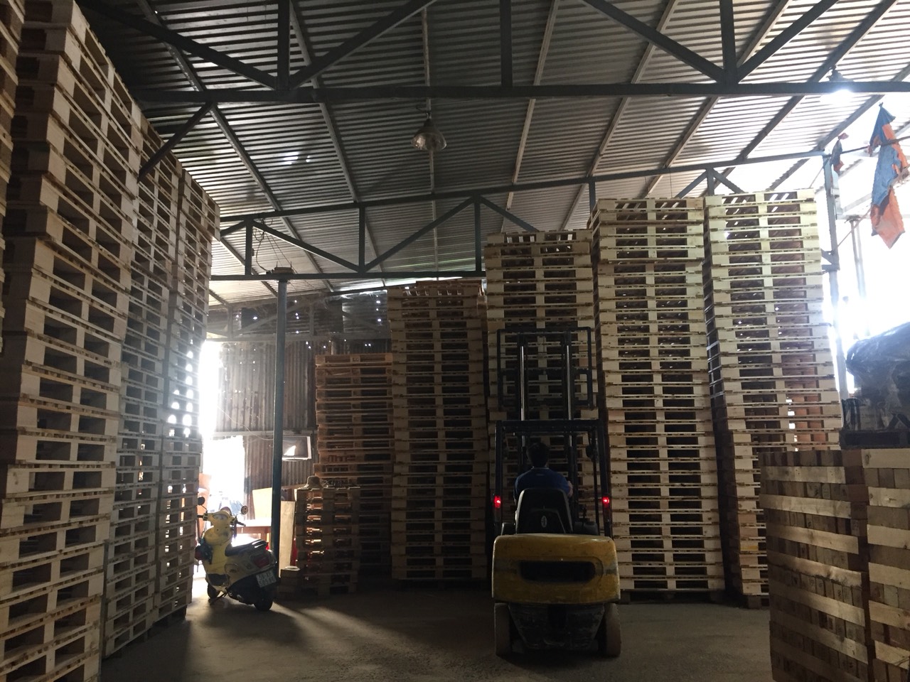 Mẫu 08 Pallet gỗ xk