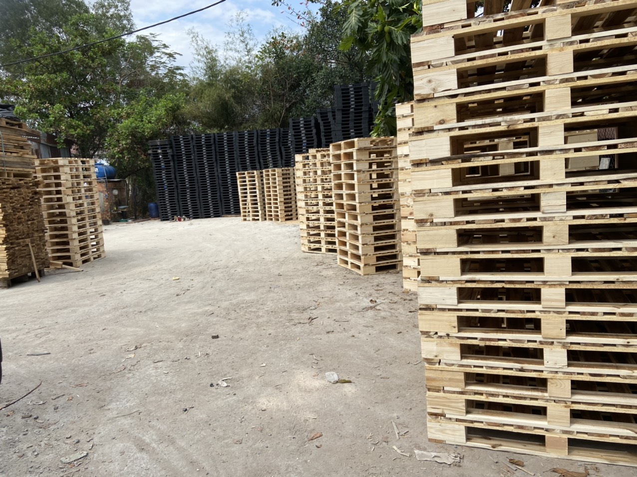 Pallet Ce 280222