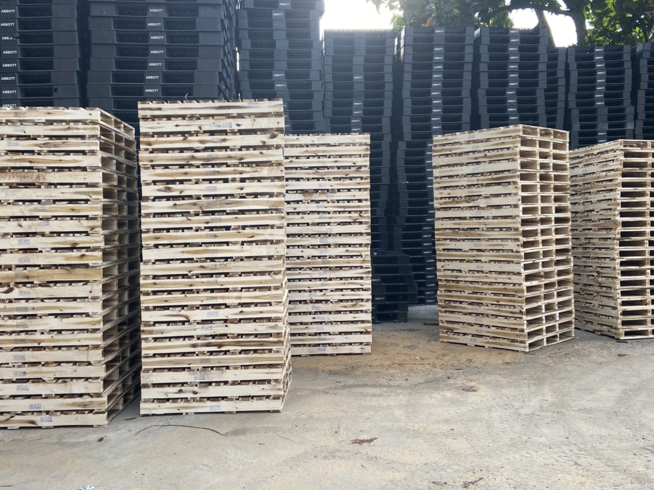 Pallet gỗ Bh_100322-1