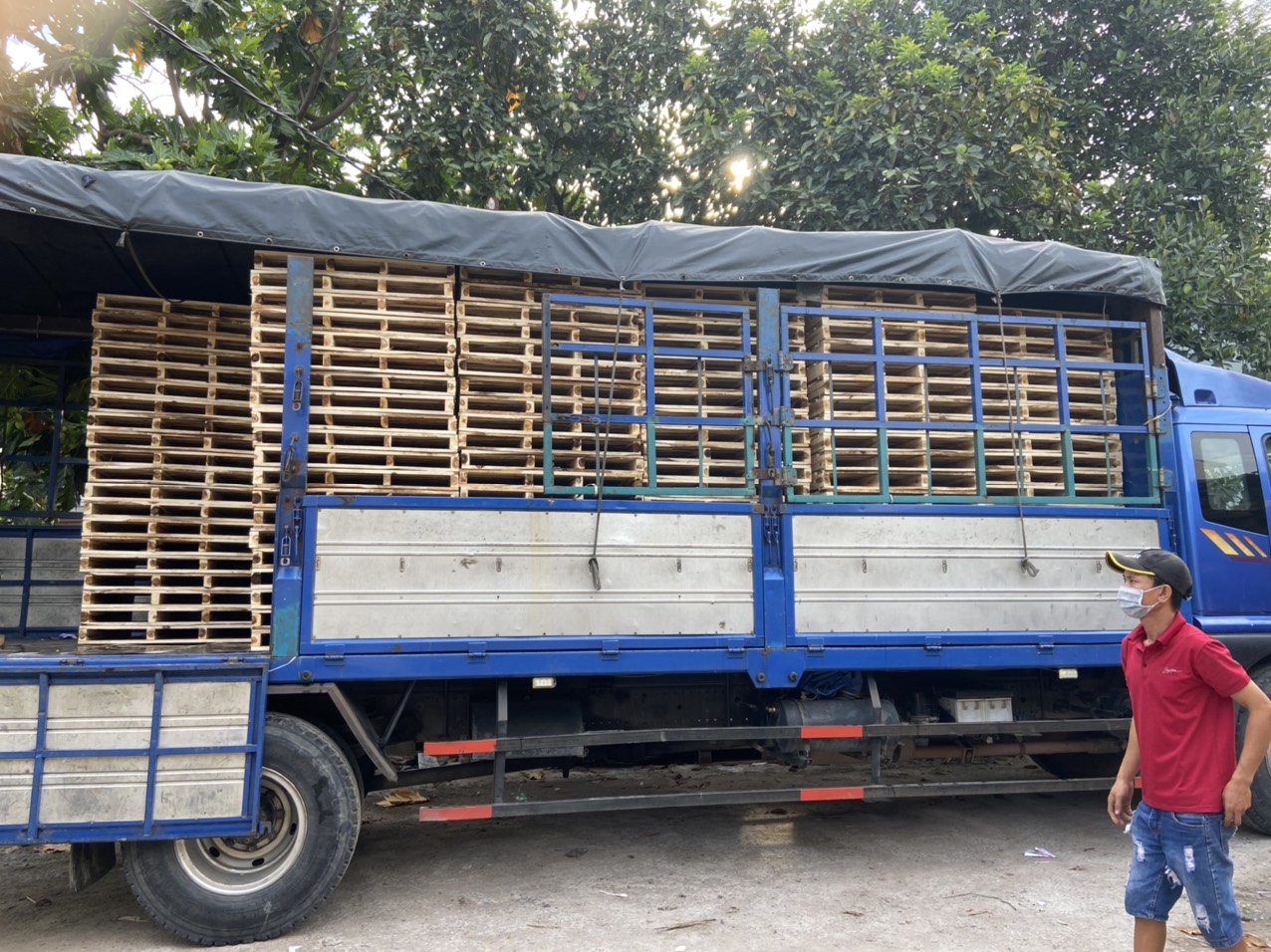 Pallet gỗ Bh_100322-2