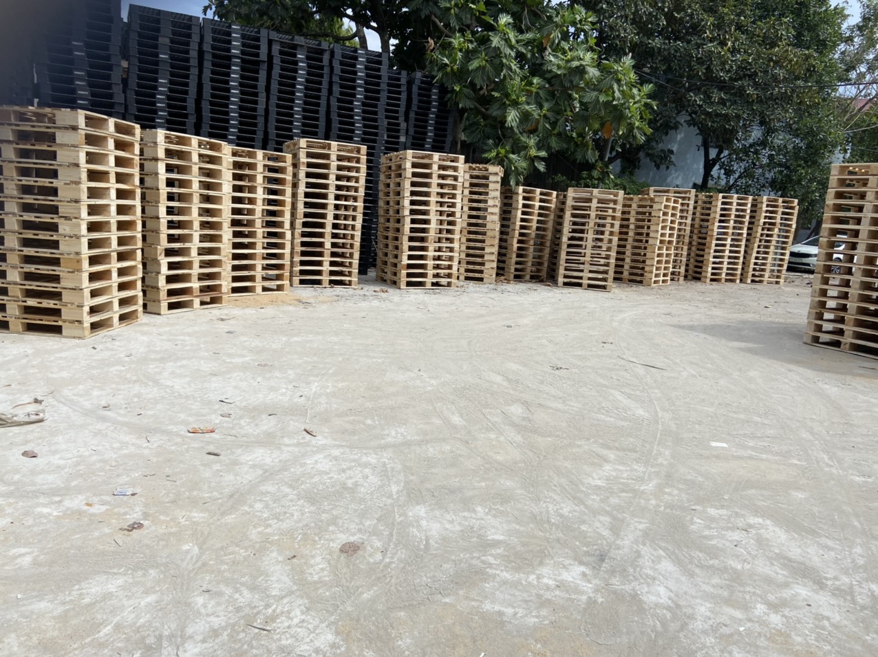 Pallet gỗ Ce 280222-2