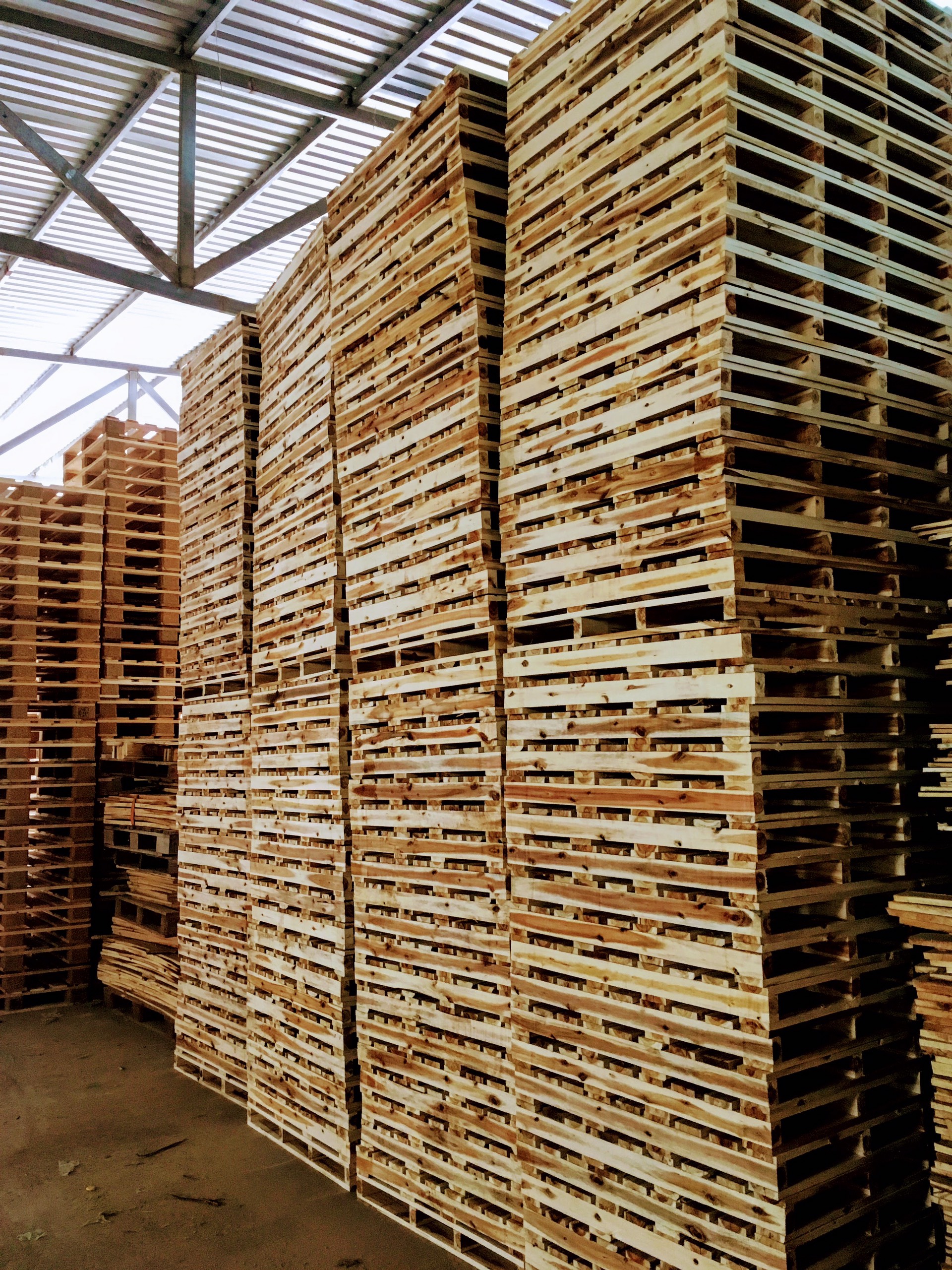 Mẫu Pallet gỗ đố- Pallet gỗ tràm xk