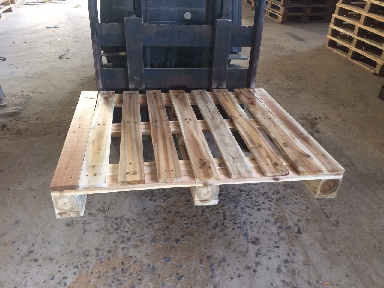 Pallet gỗ tràm 10