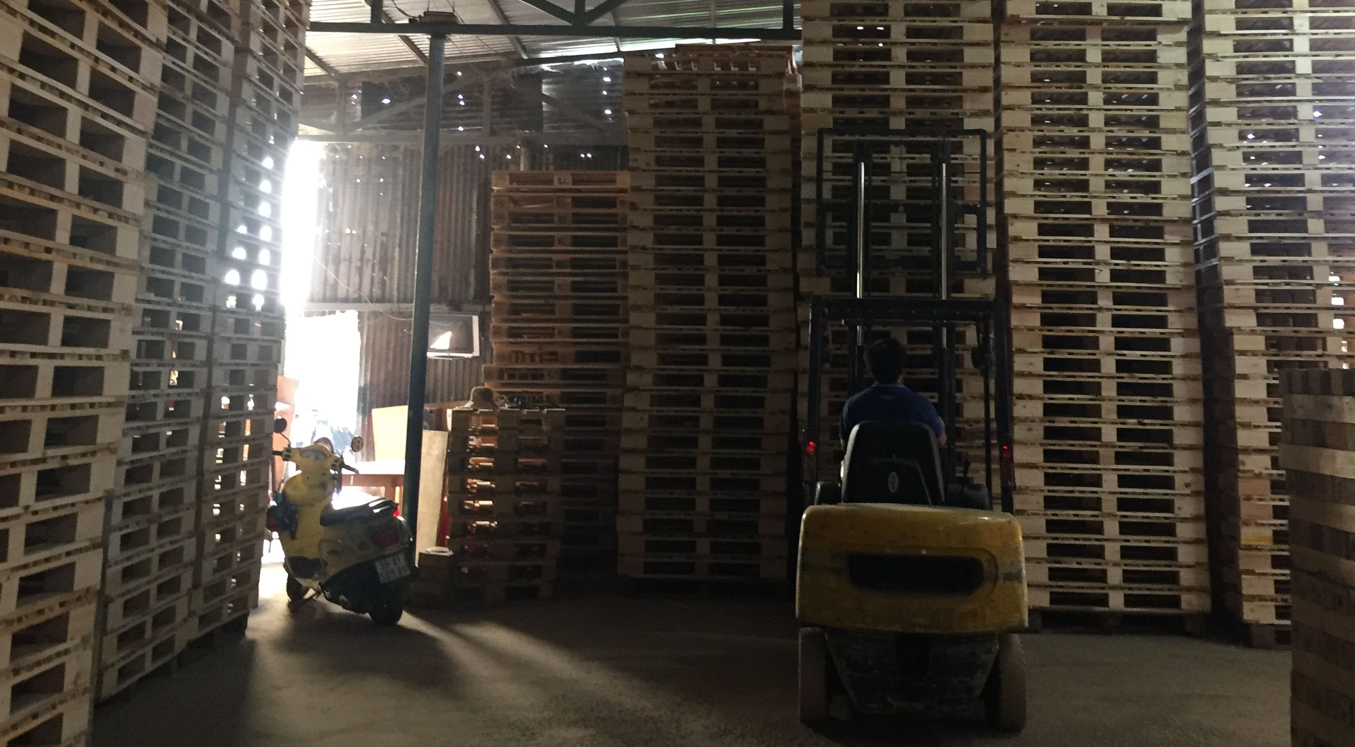 Pallet gỗ XK 02